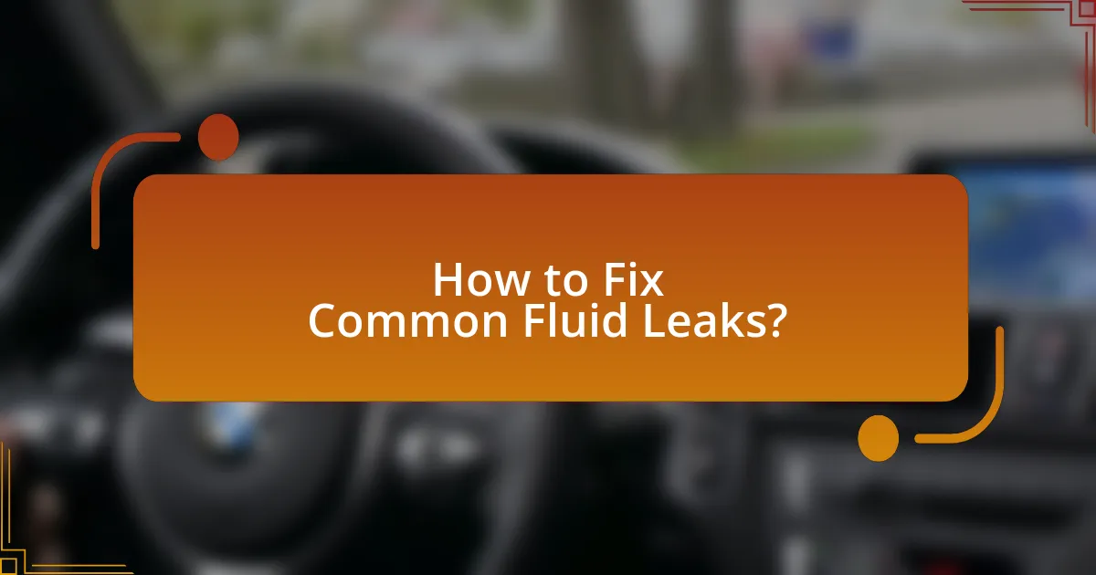 How to Fix Common Fluid Leaks?